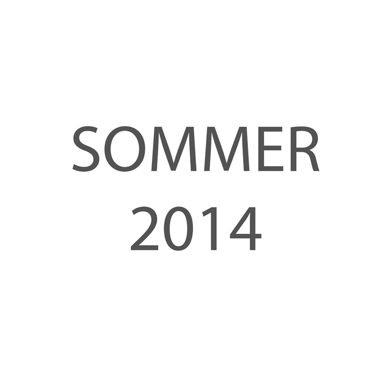 summer 2014